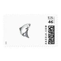 KING_SALMON POSTAGE STAMP