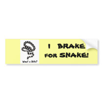 King Snake from Junglewalk.com bumper stickers by junglewalkcom King Snake from Junglewalk.com bumper stickers