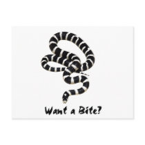 King Snake from Junglewalk.com postcards by junglewalkcom King Snake from Junglewalk.com postcards