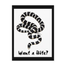 King Snake from Junglewalk.com Postcards