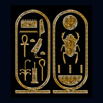 King Tut  Hieroglyphics Poster Print posters