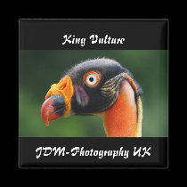 King Vulture magnets