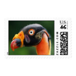 King Vulture Postage Stamp