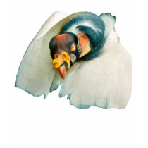 King Vulture t-shirts