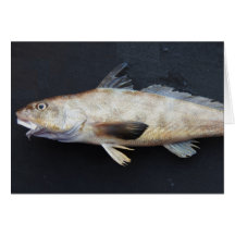 Kingcroaker Cards