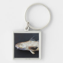 Kingcroaker Key Chain