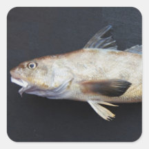 Kingcroaker Sticker
