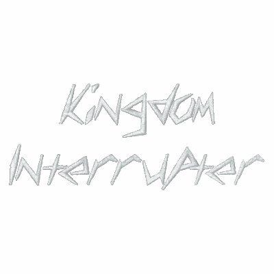 Kingdom Interrupter Jacket by Company333