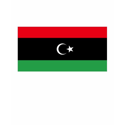 Kingdom of Libya Flag (1951-1969) shirt