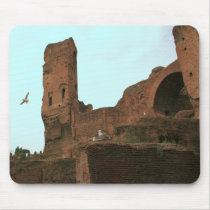 Kingdom of the Seagulls Mouse Pads