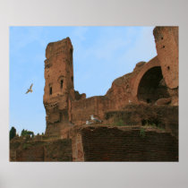 Kingdom of the Seagulls Print