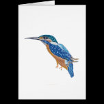 KingFisher Bird cards