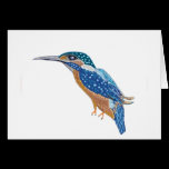 KingFisher Bird cards