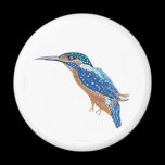 KingFisher Bird magnets