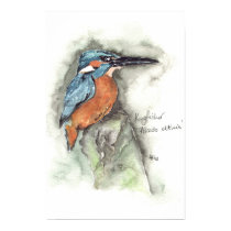 Kingfisher in watercolour posters