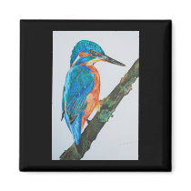 Kingfisher Magnet