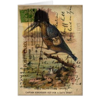Kingfisher Postcard Greeting Card card