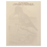 Kingfisher Stationery letterhead