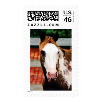 Kings Fancy Girl postage by knotth Kings Fancy Girl postage