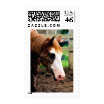 Kings Fancy Girl postage by knotth Kings Fancy Girl postage