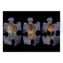 Kings Of The Wild Card