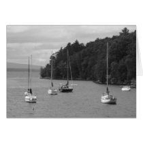Kingsland Bay cards
