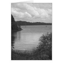 Kingsland Bay cards