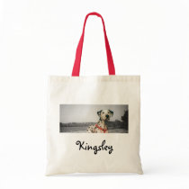 Kingsley bags