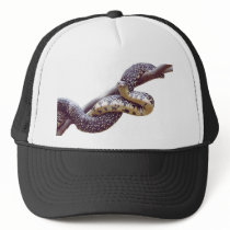 Kingsnake Hat by naturegirl7 Kingsnake Hat