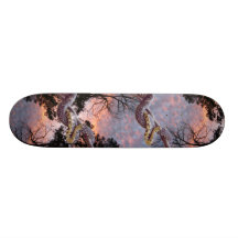 Kingsnake Sunset Skate Board