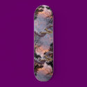 Kingsnake Sunset skateboards by naturegirl7 Kingsnake Sunset skateboards