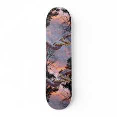 Kingsnake Sunset skateboard