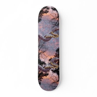 Kingsnake Sunset skateboard