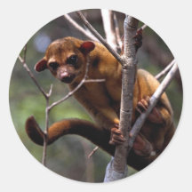 Kinkajou (Potos flavus) Sticker