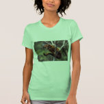Kinkajou (Potos flavus) Tees