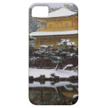 Kinkaku Snow casemate cases