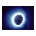Kirlian Photo of Finger Tip posters by BruceRawles Kirlian Photo of Finger Tip posters