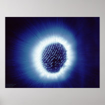 Kirlian Photo of Finger Tip Posters