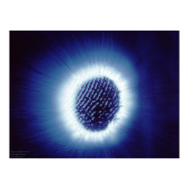 Kirlian Photo of Finger Tip posters