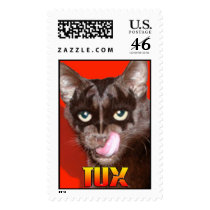 kiss cat postage