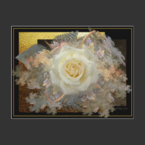 Kiss From A Rose postcards