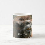 Kiss Kiss Coffee Mugs