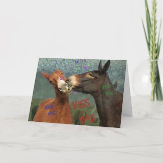 Kiss Me! Valentines Day Card for mule lovers