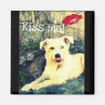 Kiss me! magnets