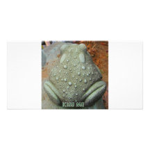 KISS ME FROG PHOTO CARDS