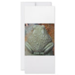 KISS ME FROG RACK CARD DESIGN