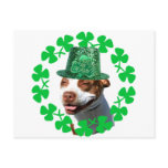 Kiss Me I"m Irish Pit bull Post Card