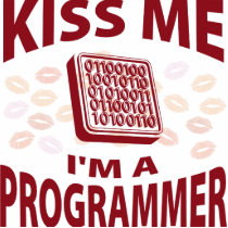 Kiss Me I'm A Programmer photo sculptures