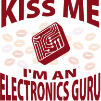 Kiss Me I'm An Electronics Guru photo sculptures by 1000suns Kiss Me I'm An Electronics Guru photo sculptures
