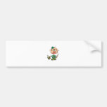 Kiss me I'm irish Bumper Sticker